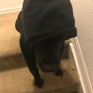 Meet your Posher, Zelina